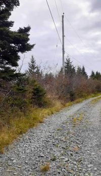 Wegseite mit Strom und Telefon